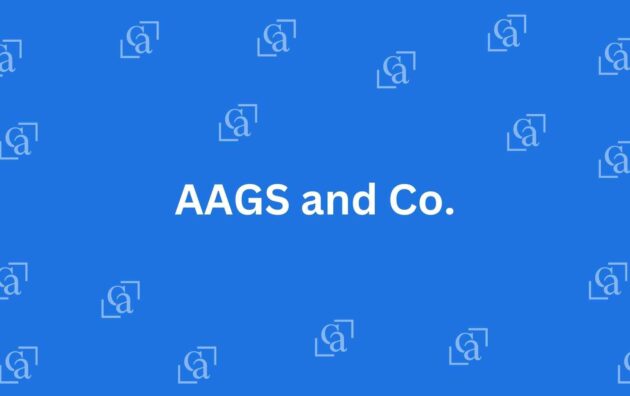 AAGS and Co. - Chartered Accountants in Connaught Place Delhi - Experienced Chartered Accountants in Delhi