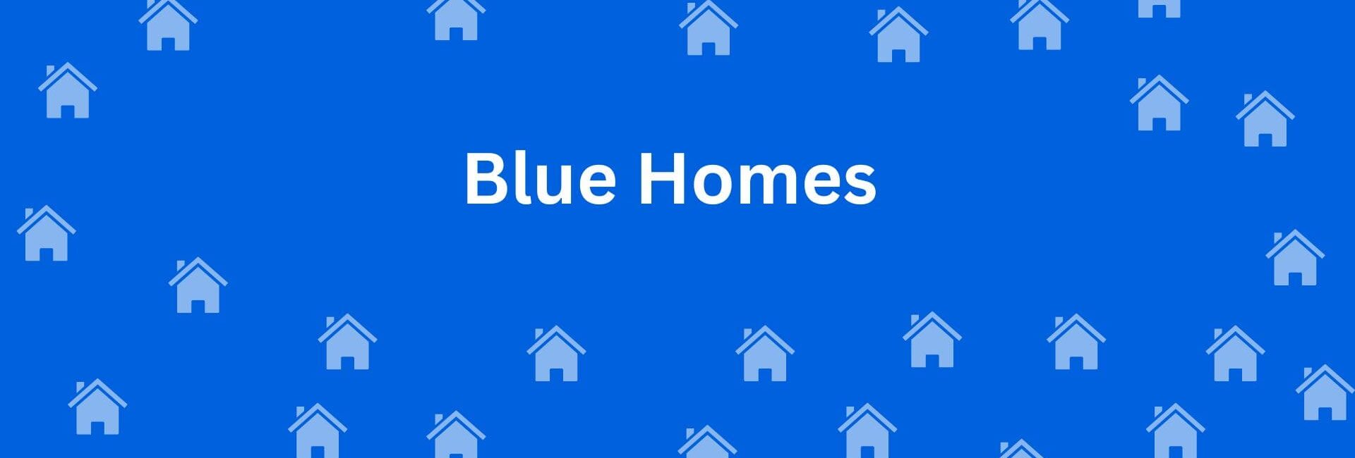 Blue Homes - Property broker in Uttam Nagar, Delhi - Property Dealer in Delhi