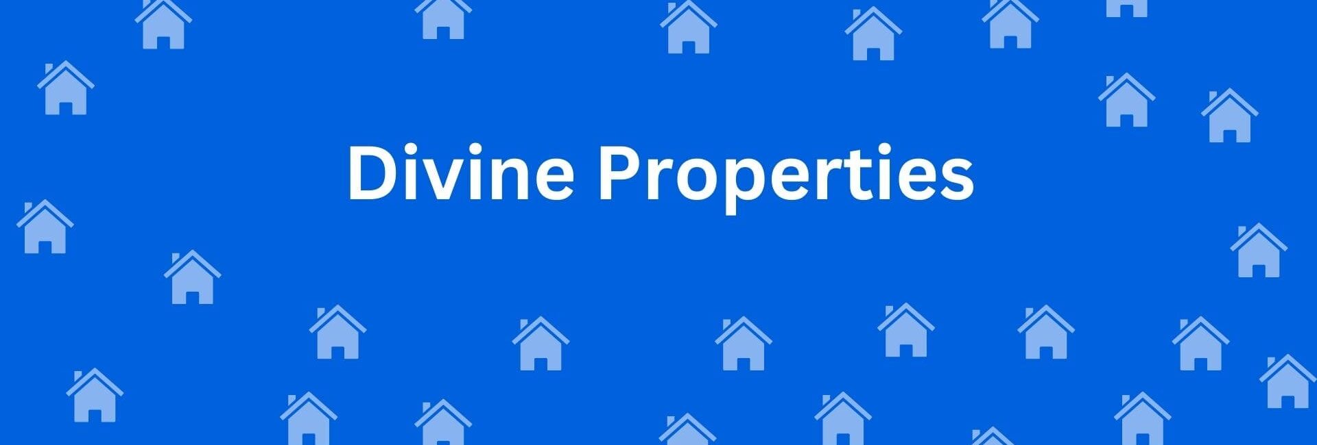 Divine Properties Naraina - Estate Agents in Naraina, Delhi - Property dealer in Delhi