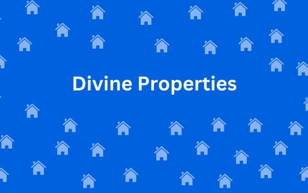 Divine Properties Naraina - Estate Agents in Naraina, Delhi - Property dealer in Delhi