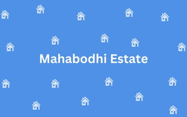 Mahabodhi Estate - Estate agent commercial rental in Safdarjung Enclave Delhi - Estate agent residential rental in Delhi