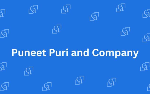 Puneet Puri and Company - Chartered Accountants in Connaught Place Delhi - Experienced Chartered Accountants in Delhi