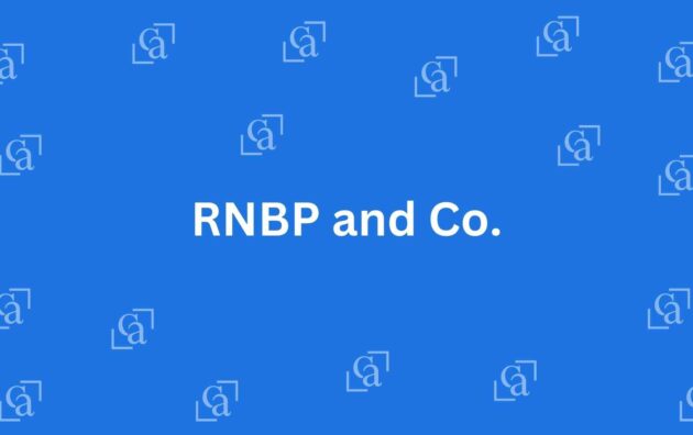 RNBP and Co. - Chartered Accountants in Connaught Place Delhi - Experienced Chartered Accountants in Delhi
