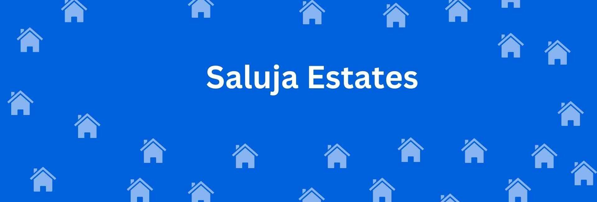 Saluja Estates - Property Dealer in Karol Bagh Delhi - To-Let services in Delhi