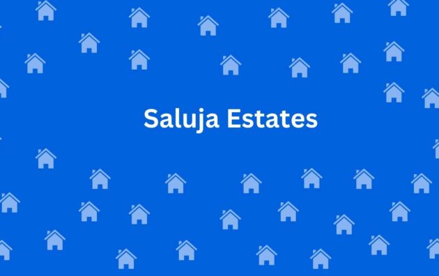 Saluja Estates - Property Dealer in Karol Bagh Delhi - To-Let services in Delhi
