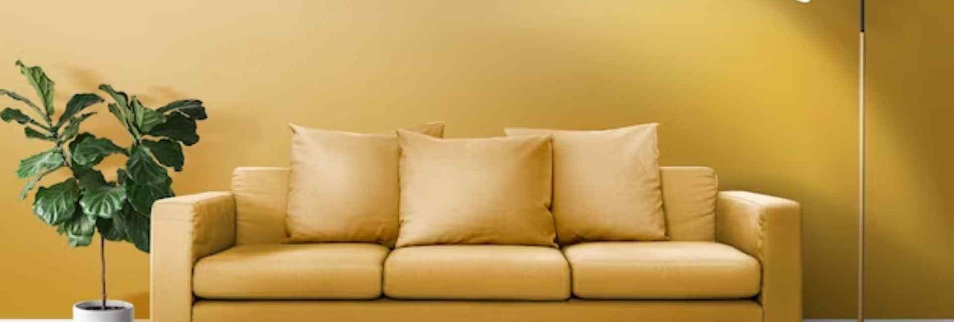 Studio Pepperfry - Furniture Distributors in Dwarka, Delhi - Top Furniture Shop in Delhi