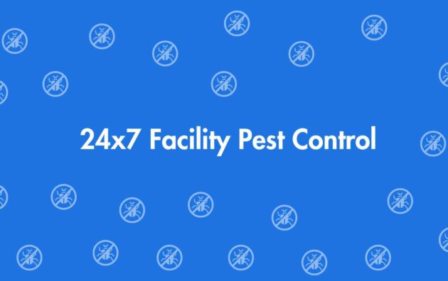 24x7 Facility Pest Control - Pest Control Services in Dwarka, Delhi - Pest Control Experts in Delhi