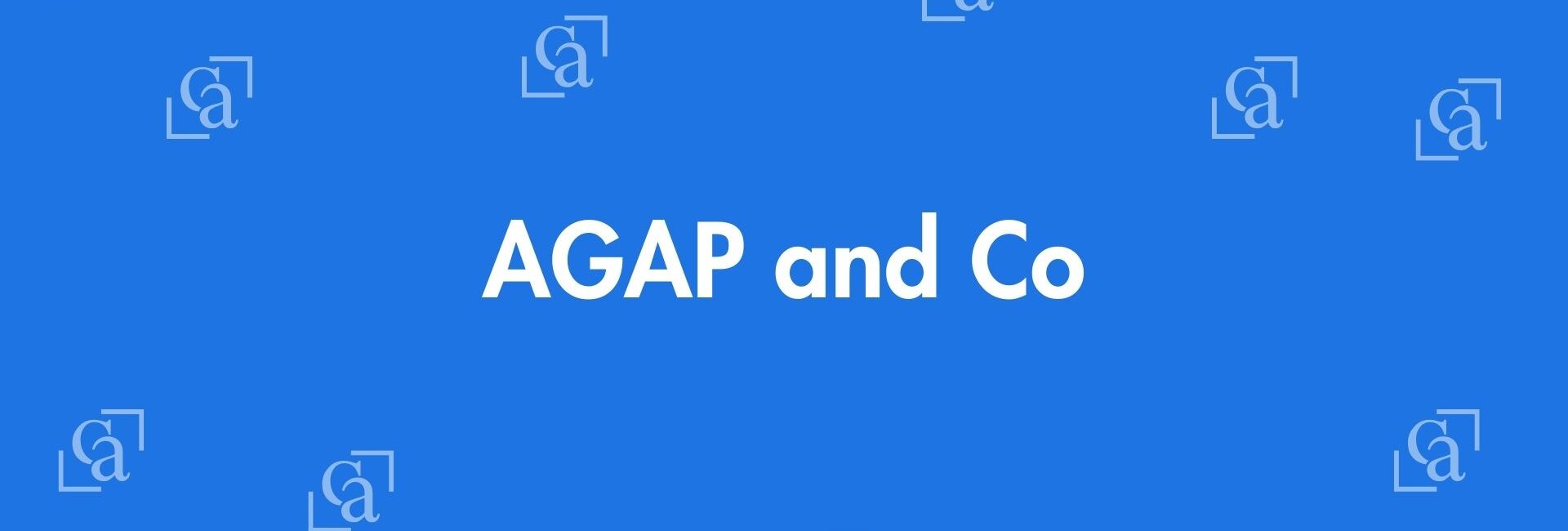 AGAP and Co- - Chartered Accountants in Pitampura, Delhi - Experienced Chartered Accountants Delhi