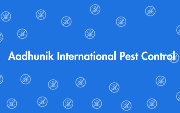 Aadhunik International Pest Control - Pest Control Services in Dwarka, Delhi - Pest Control Experts in Delhi
