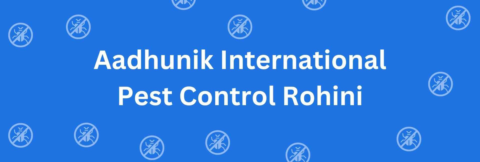 Aadhunik International Pest Control Rohini - Pest Control Services in Rohini Delhi - Pest Control Service Provider in Delhi