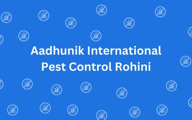 Aadhunik International Pest Control Rohini - Pest Control Services in Rohini Delhi - Pest Control Service Provider in Delhi