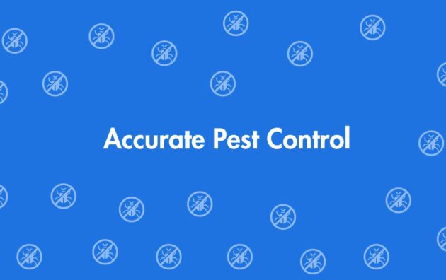 Accurate Pest Control - Pest Control Services in Malviya Nagar, Delhi - Pest Control Experts in Delhi