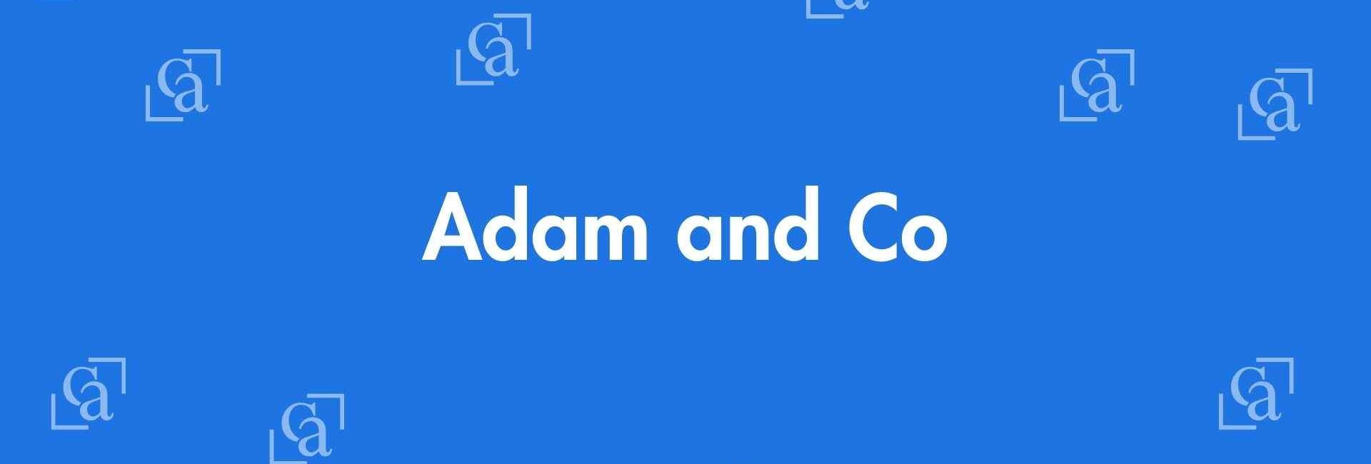 Adam and Co - Chartered Accountants in Laxmi Nagar, Delhi - Experienced Chartered Accountants Delhi