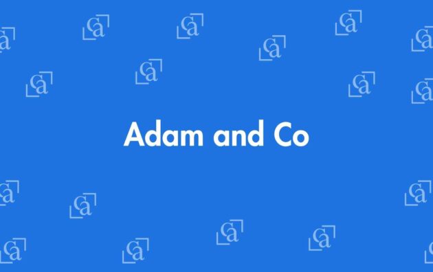 Adam and Co - Chartered Accountants in Laxmi Nagar, Delhi - Experienced Chartered Accountants Delhi