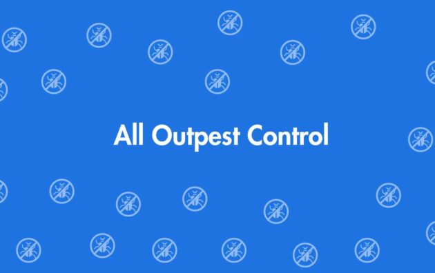 All Outpest Control - Pest Control Services in Dwarka, Delhi - Pest Control Experts in Delhi