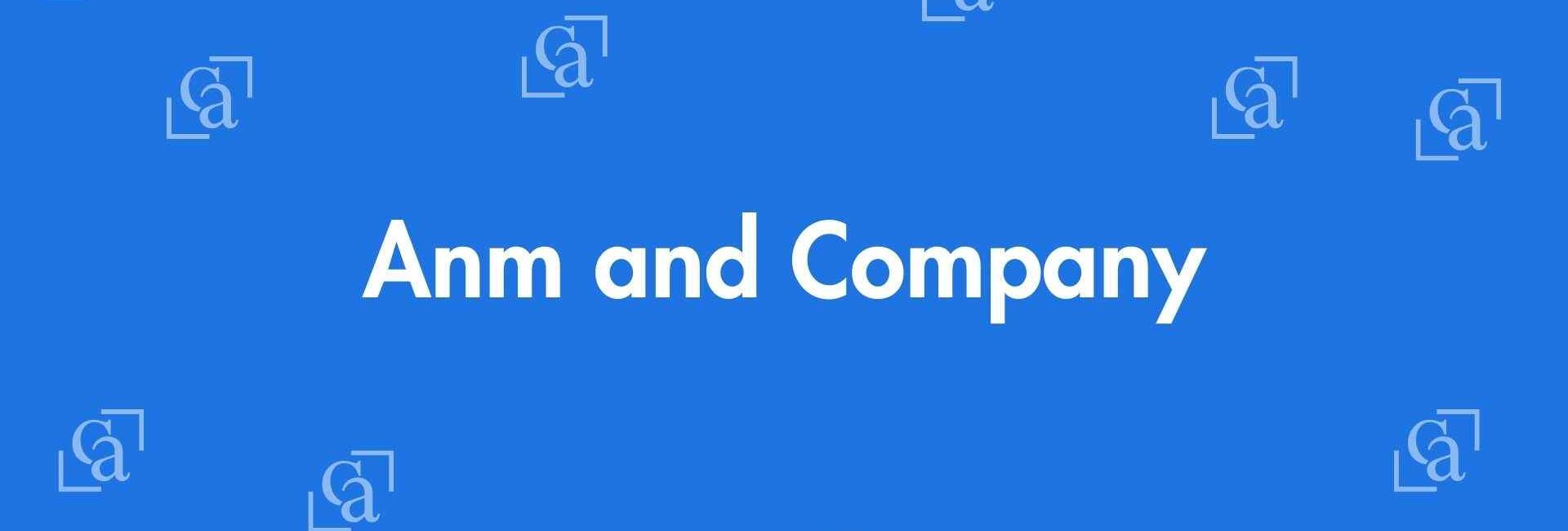 Anm and Company - Chartered Accountants in Krishna Nagar, Delhi - Experienced Chartered Accountants Delhi