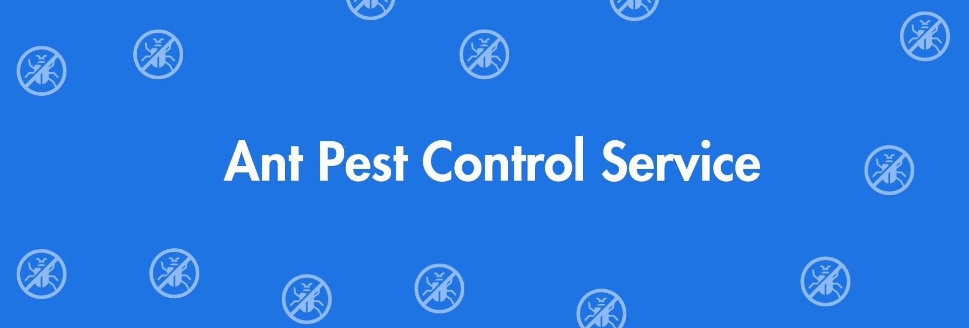 Ant Pest Control Service - Pest Control Services in Laxmi Nagar, Delhi - Pest Control Experts in Delhi