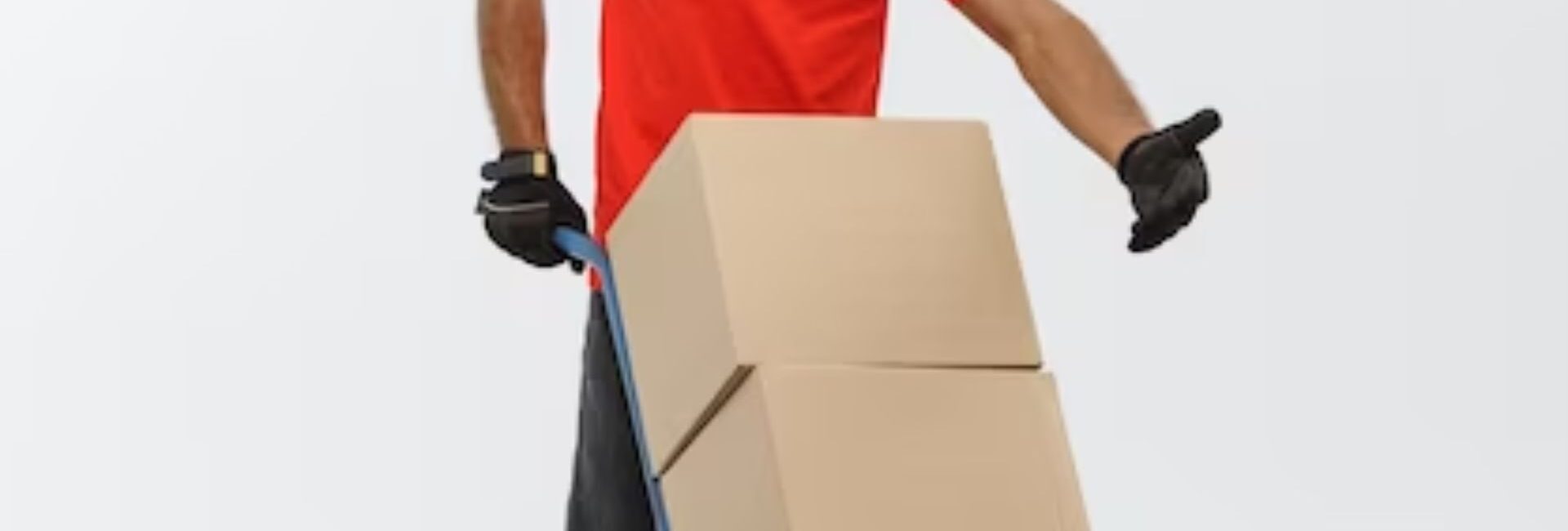 BHL Packers and Movers - Packers and Movers in Uttam Nagar, Delhi - Super Packers and Movers Services in Delhi