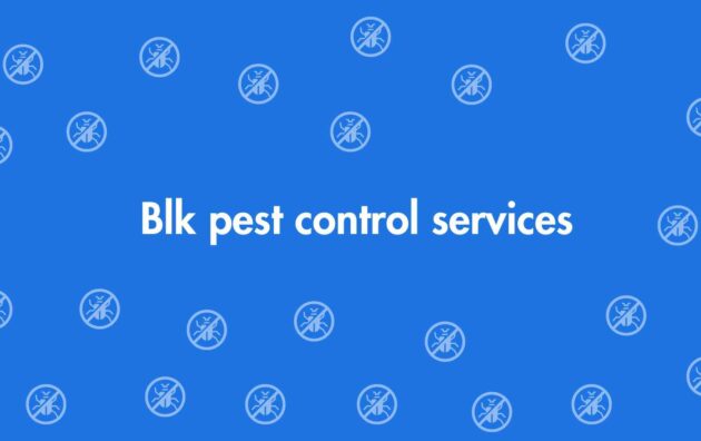 Blk pest control services - Pest Control Services in Dwarka, Delhi - Pest Control Experts in Delhi
