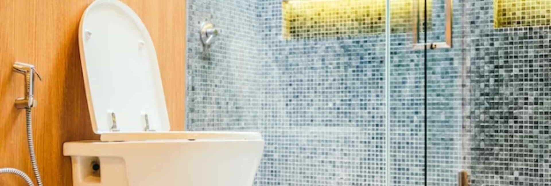 Chauhan Paint and Hardware - Sanitary Drainage System in Rohini Delhi - Sanitary Bin Services in Delhi