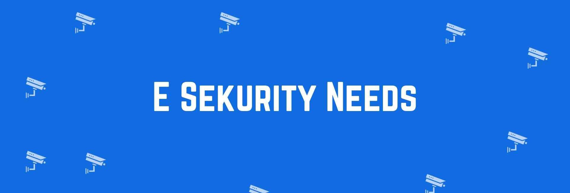 E Sekurity Needs - Security System Dealer in Pitampura, Delhi - CCTV Dealer in Delhi
