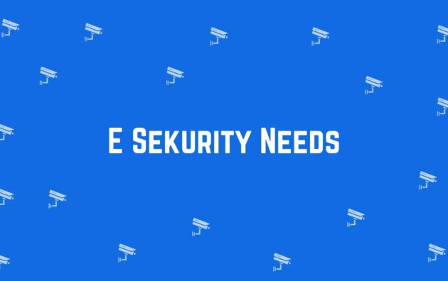 E Sekurity Needs - Security System Dealer in Pitampura, Delhi - CCTV Dealer in Delhi