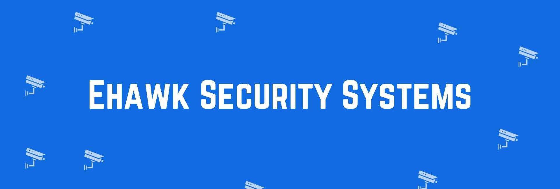 Ehawk Security Systems - Security System Dealer in Chandni Chowk, Delhi - CCTV Dealer in Delhi