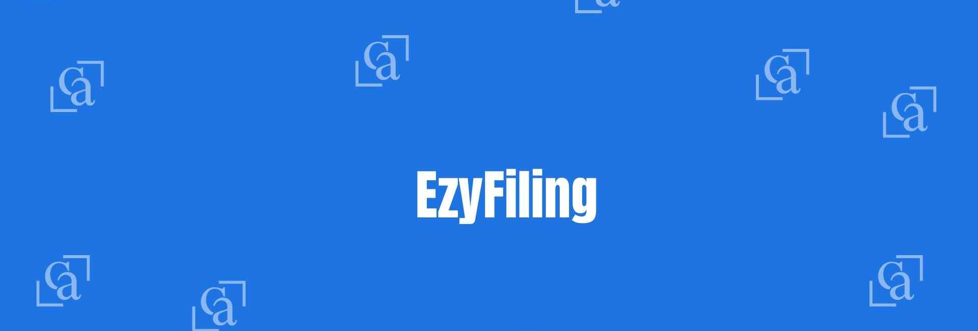 EzyFiling - Chartered Accountants in Kirti Nagar Delhi - Money Experts in Delhi