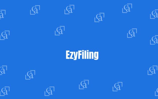 EzyFiling - Chartered Accountants in Kirti Nagar Delhi - Money Experts in Delhi