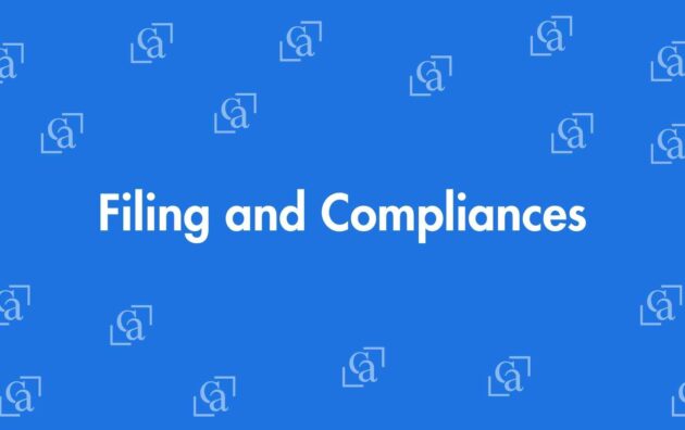 Filing and Compliances - Chartered Accountants in Laxmi Nagar, Delhi - Experienced Chartered Accountants Delhi