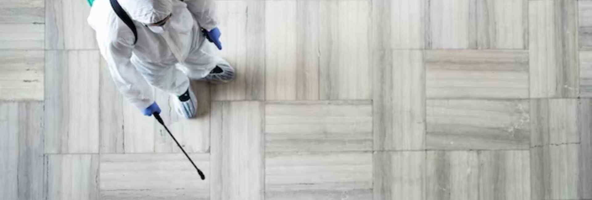 Gorav Pest Control Service - Termite Control Services in Rohini Delhi - Rodent Control Services in Delhi