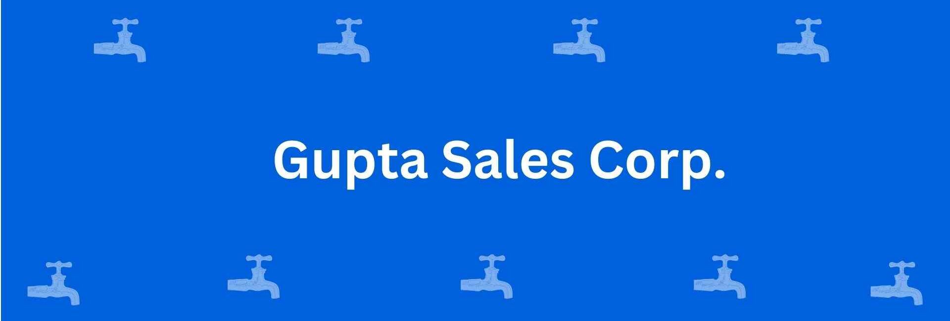 Gupta Sales Corp. - Best Sanitary Services in Rohini Delhi - Sanitary Product Dealer in Delhi