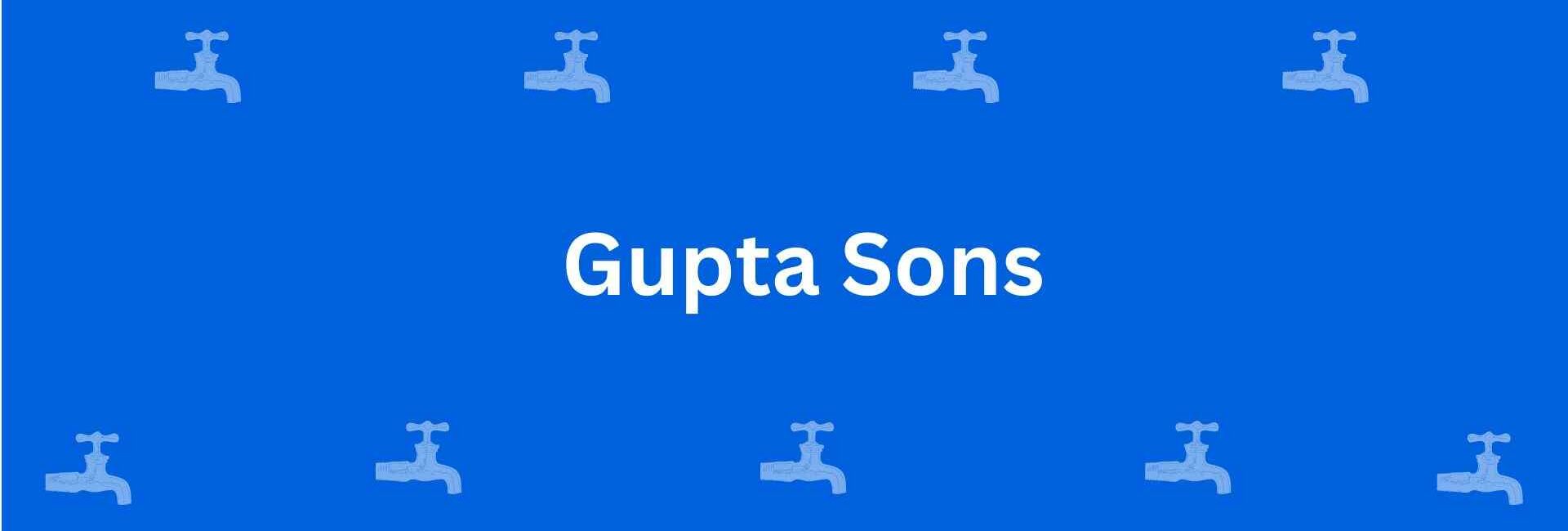 Gupta Sons - Best Sanitary Services in Dwarka, Delhi - Sanitary Product Dealer in Delhi