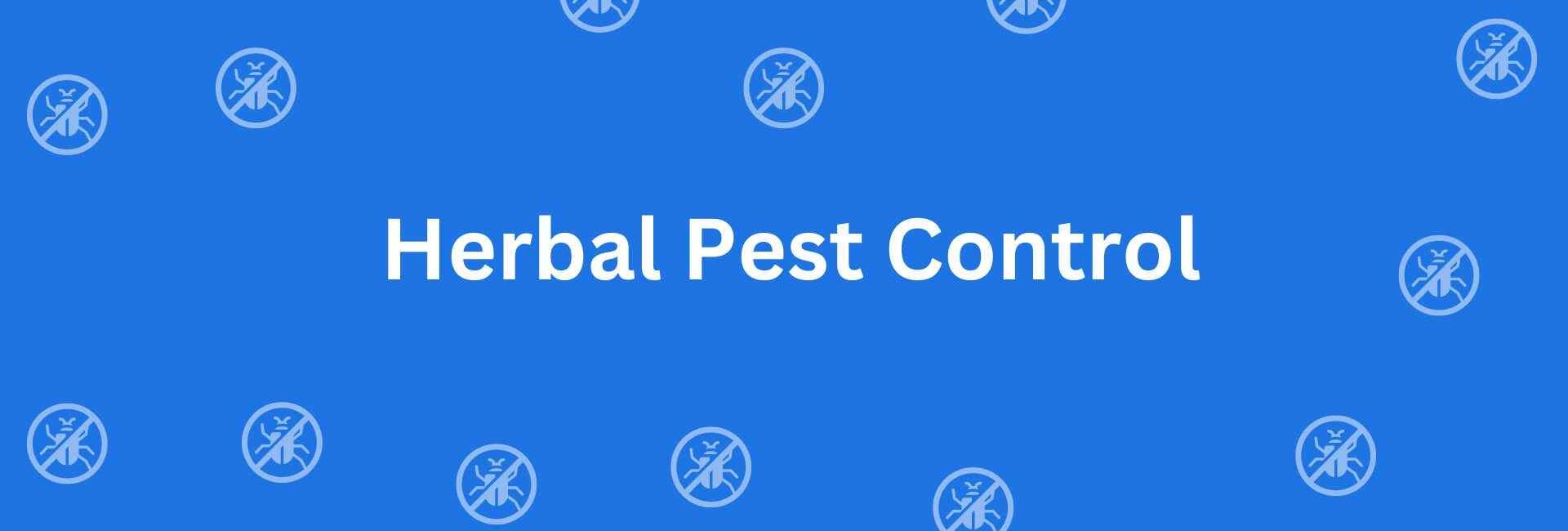 Herbal Pest Control - Pest Control Experts in Rohini Delhi - Rodent Control Services in Delhi