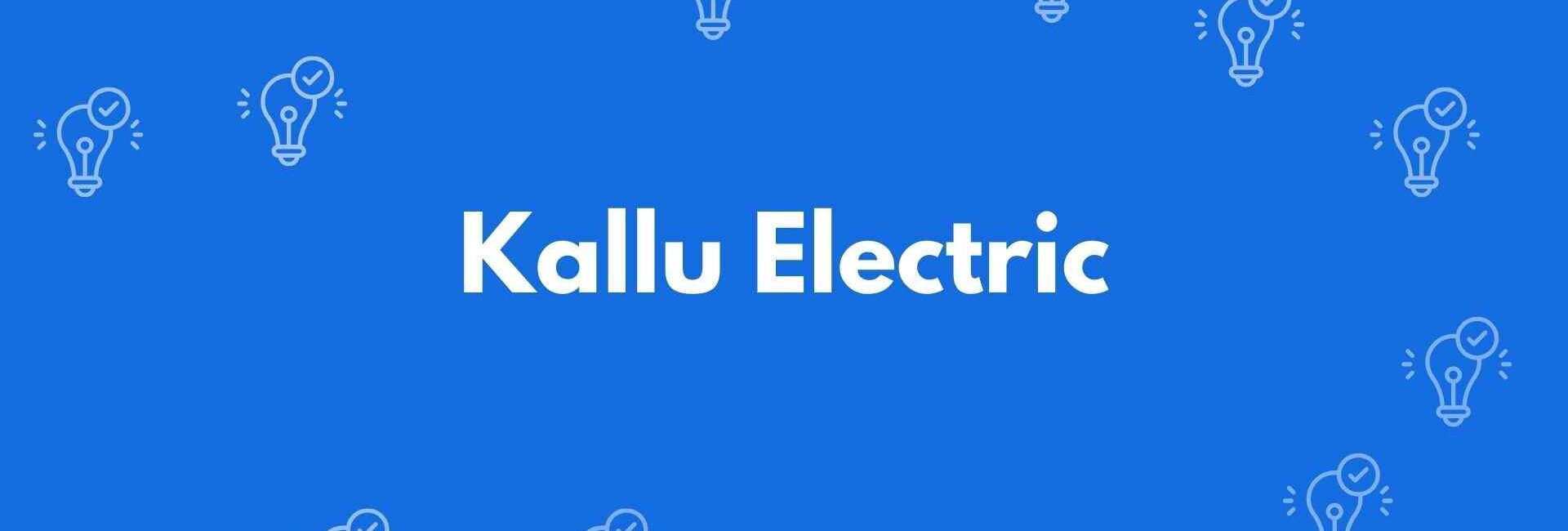 Kallu Electric - Electrician Service in Chandni Chowk, Delhi - Electricians in Delhi