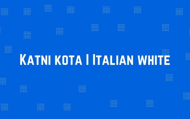 Katni kota I Italian white - Flooring and Marble Dealer in Krishna Nagar, Delhi - Marble and Flooring Expert in Delhi