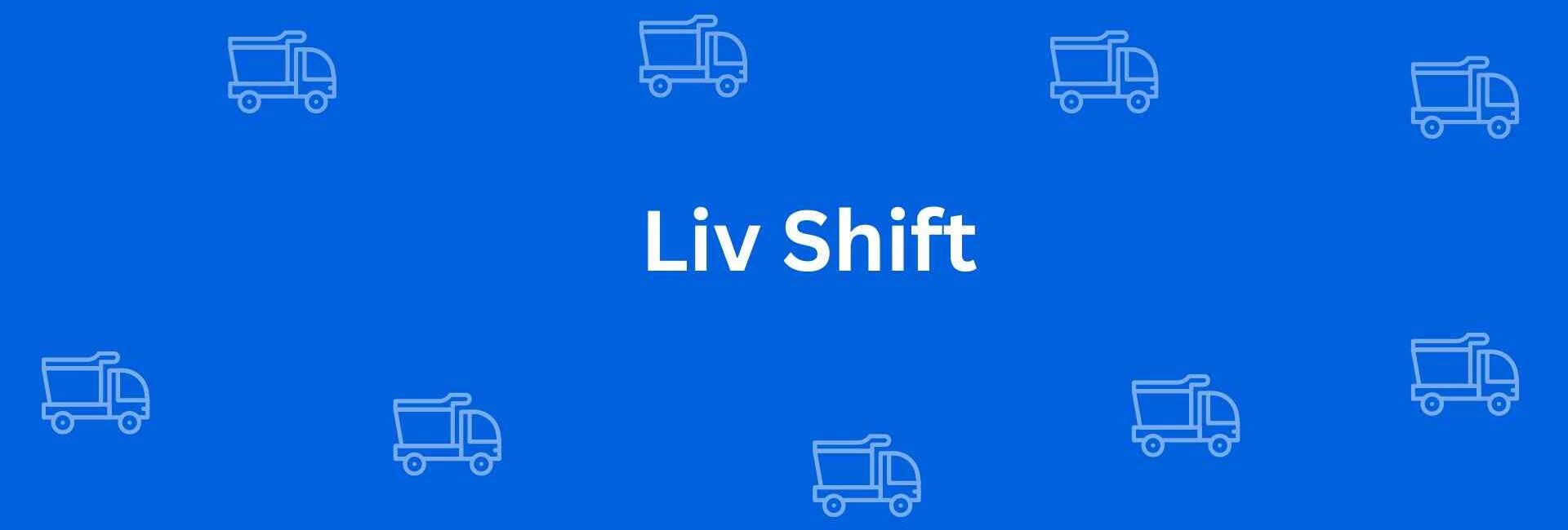 Liv Shift - Packers and Movers in Rohini Delhi - Service of Packers and Movers in Delhi