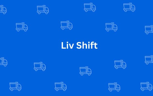 Liv Shift - Packers and Movers in Rohini Delhi - Service of Packers and Movers in Delhi