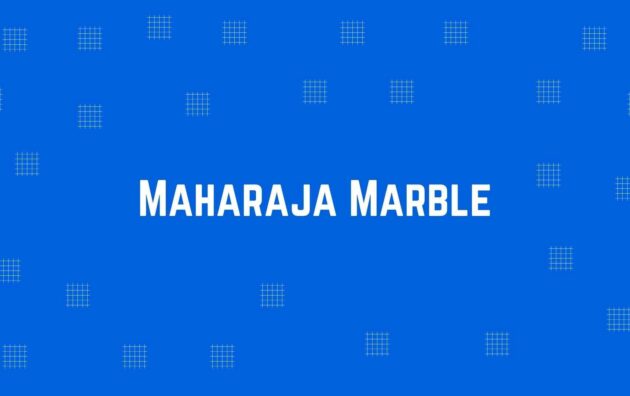 Maharaja Marble - Flooring and Marble Dealer in Dwarka, Delhi - Marble and Flooring Expert in Delhi