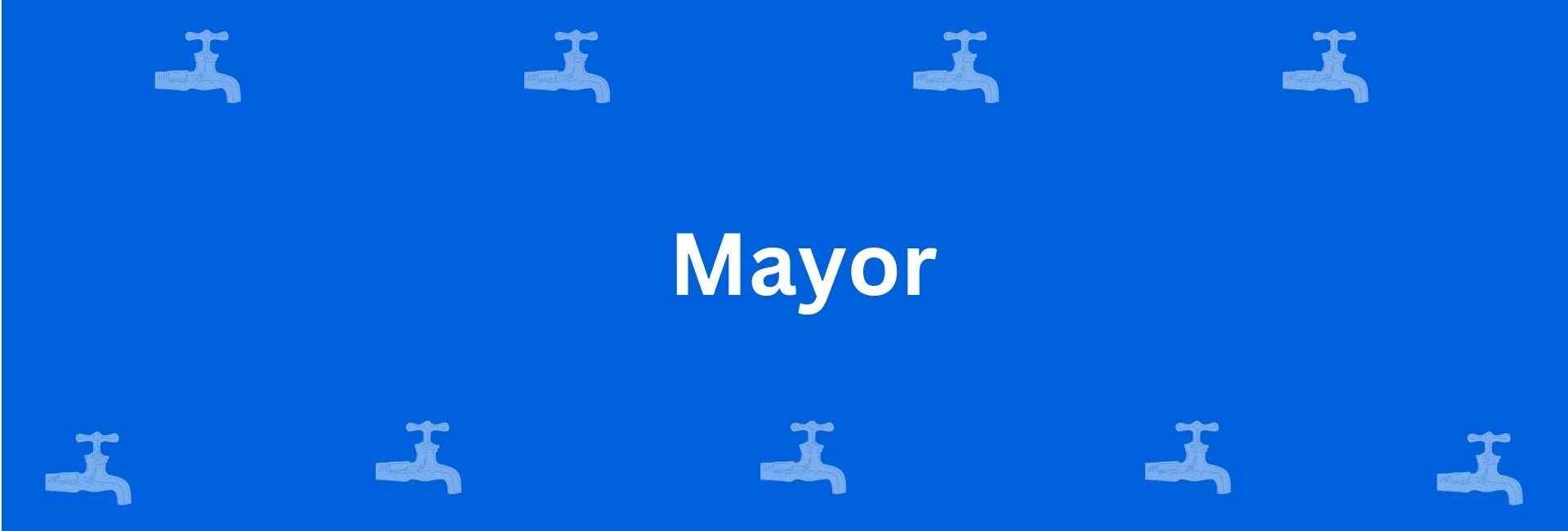 Mayor - Best Sanitary Services in Chandni Chowk, Delhi - Sanitary Product Dealer in Delhi