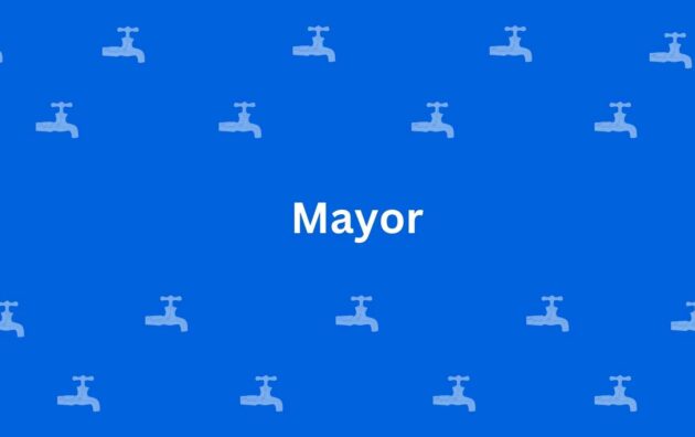 Mayor - Best Sanitary Services in Chandni Chowk, Delhi - Sanitary Product Dealer in Delhi