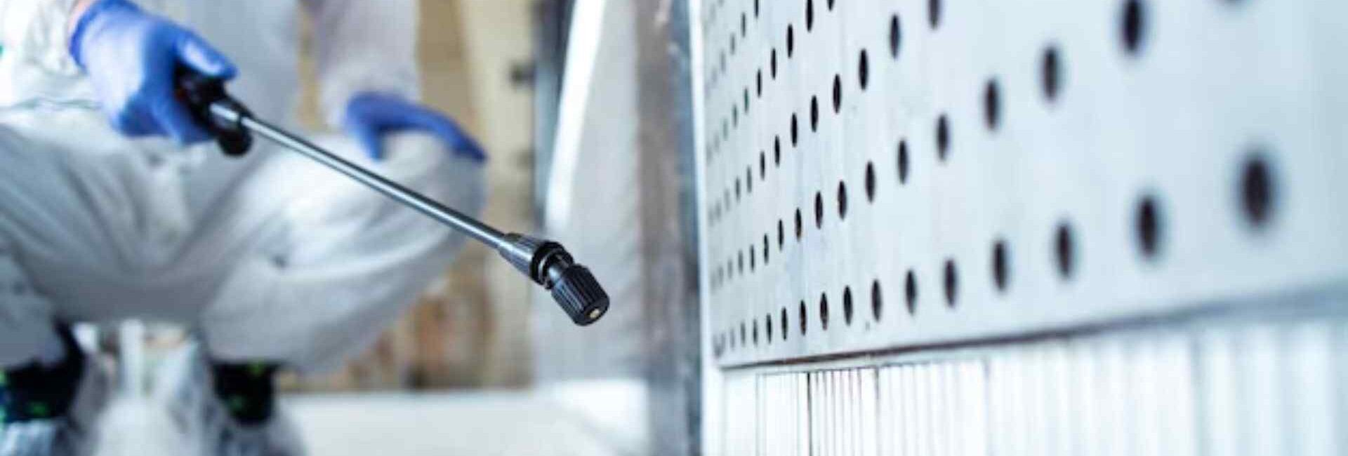 Modern pest control - Pest Control Experts in Nehru Place Delhi - Rodent Control Services in Delhi