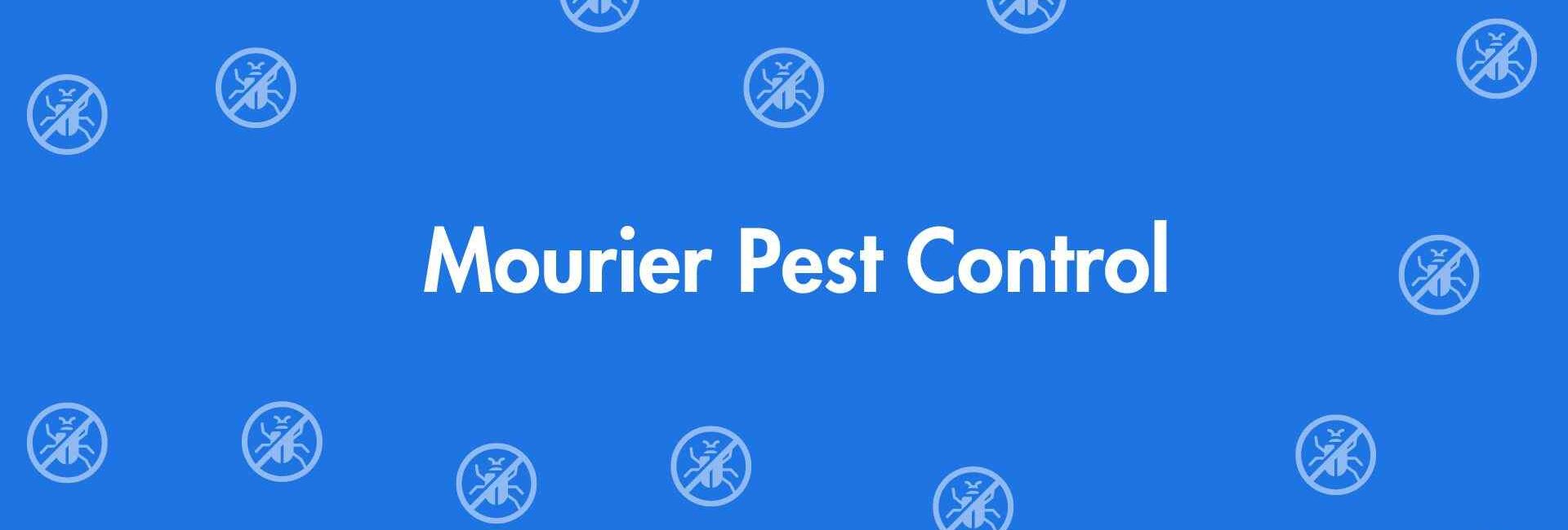 Mourier Pest Control - Pest Control Services in Dwarka, Delhi - Pest Control Experts in Delhi