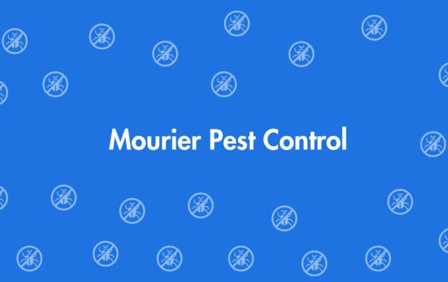 Mourier Pest Control - Pest Control Services in Dwarka, Delhi - Pest Control Experts in Delhi