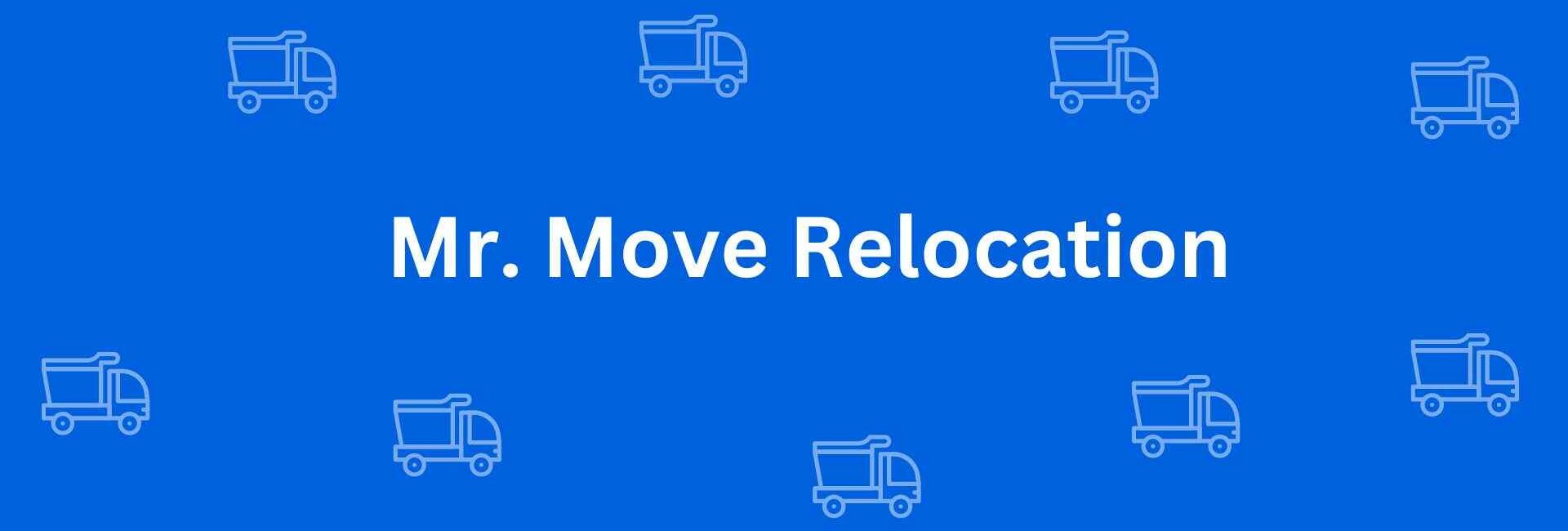 Mr. Move Relocation - Expert Movers and Packers in Rohini Delhi - Movers and Packers in Delhi