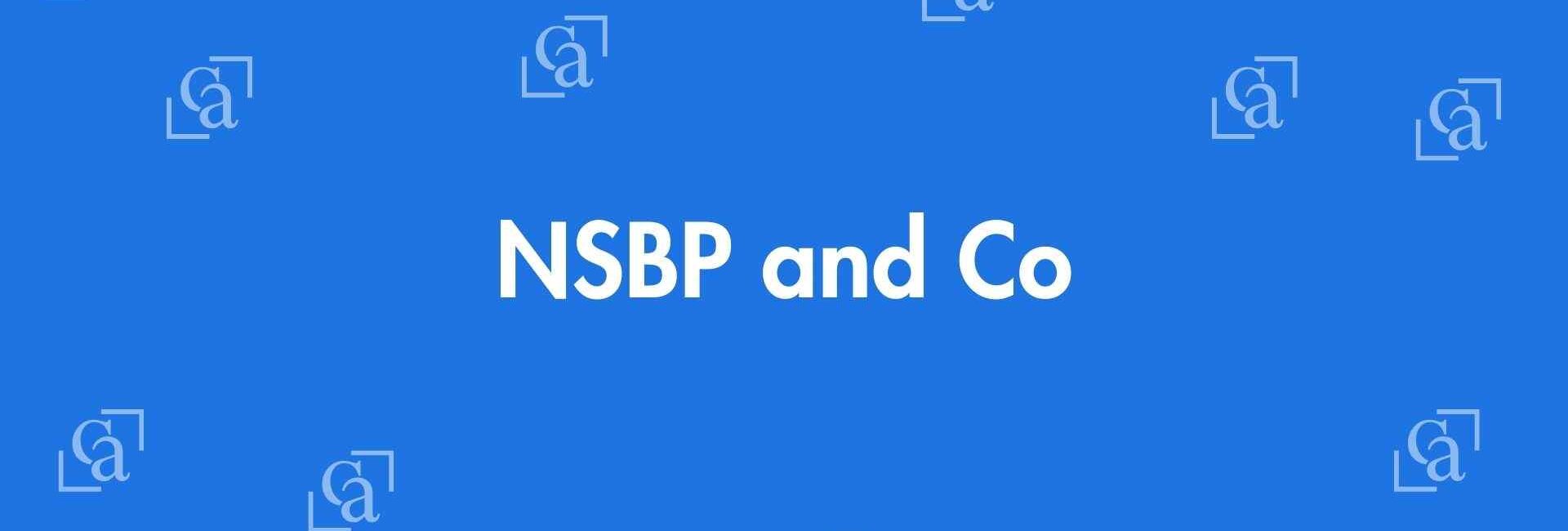NSBP and Co - Chartered Accountants in Okhla, Delhi - Experienced Chartered Accountants Delhi