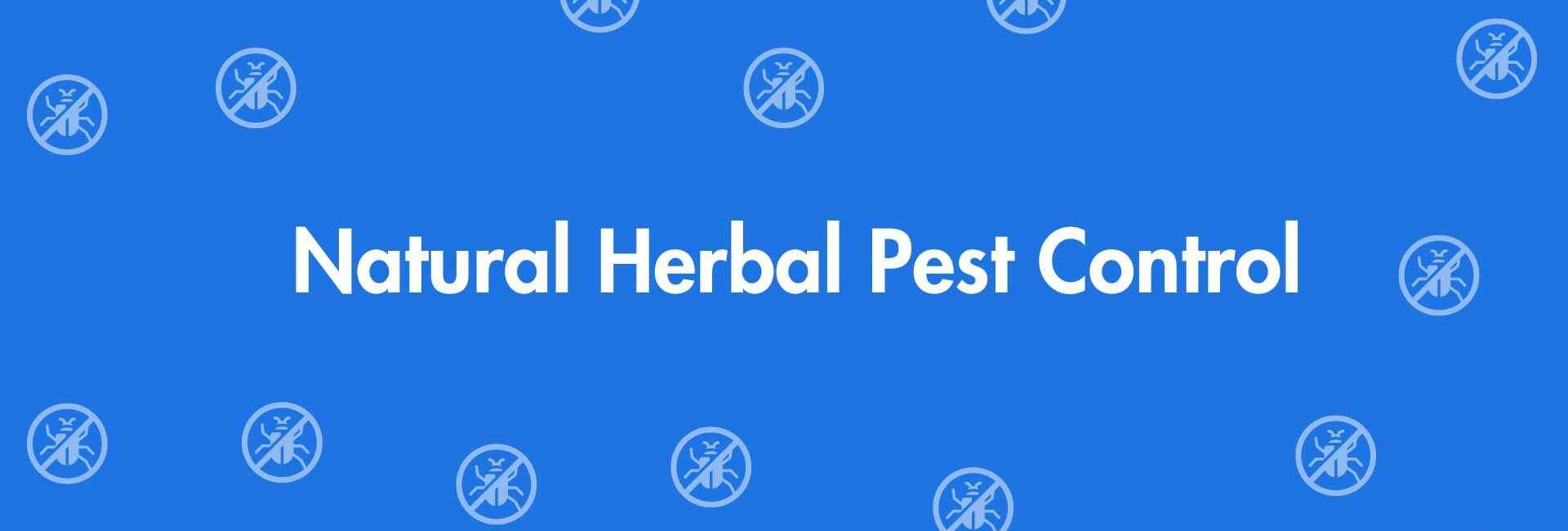 Natural Herbal Pest Control - Pest Control Services in Dwarka, Delhi - Pest Control Experts in Delhi