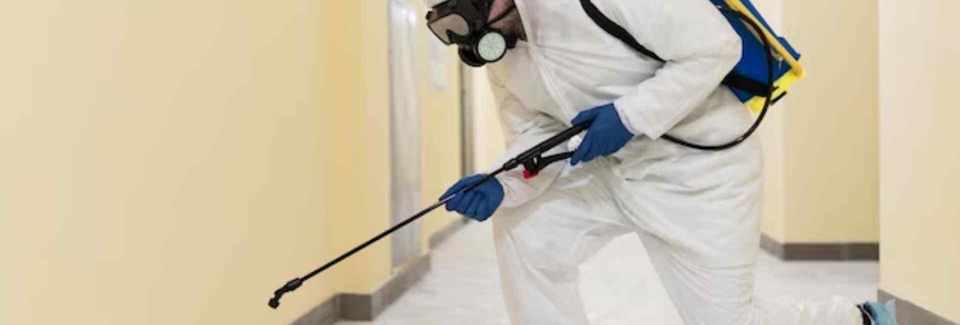 New Om Pest Control Paschim Vihar - Pest Control Experts in Paschim Vihar Delhi - Termite Control Services in Delhi