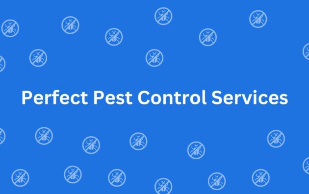 Perfect Pest Control Services - Rodent Control Services in Connaught Place, Delhi - Pest Control Experts in Delhi