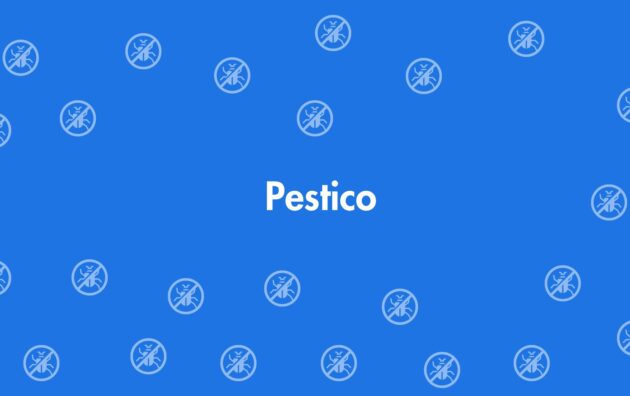 Pestico - Pest Control Services in Uttam Nagar, Delhi - Pest Control Experts in Delhi